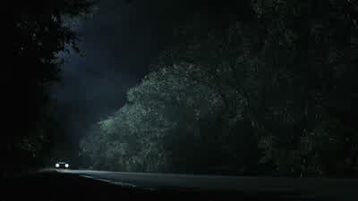ERlN: No. - The Texas Chainsaw Massacre