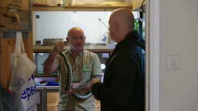Erm, cos I've been doing it
a long time. - Britain's Tiger Kings - On the Trail with Ross Kemp