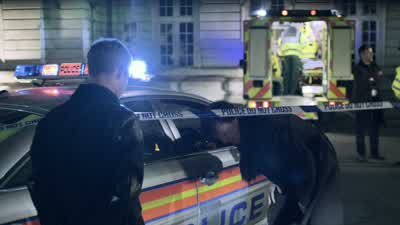 Erm - Sergeant Donovan has... - Sherlock