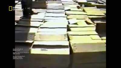 Escobar goes to Panama, - America's War on Drugs