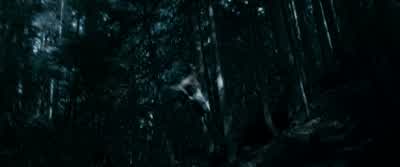 ESME: Emmett, no! - The Twilight Saga: Eclipse