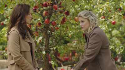 Especially if he is scouting
to acquire Apple Hill. - Autumn at Apple Hill