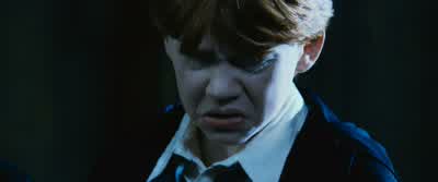 Essence of Crabbe. - Harry Potter and the Chamber of Secrets