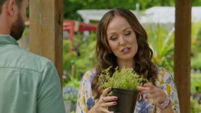 Esta bela criatura
é o tomilho inglês. - Let Love Grow