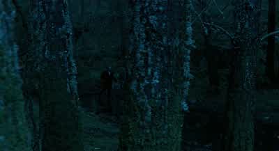 Esto es una locura. - Pan's Labyrinth