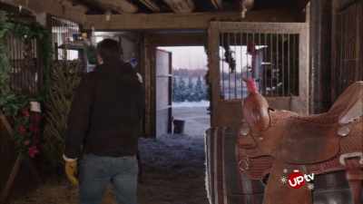 - Et perfekt juletræet.
- Hvorfor er det perfekt? - Christmas Wedding Runaway