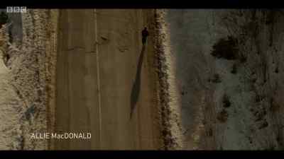ETHEREAL MUSIC - Cardinal
