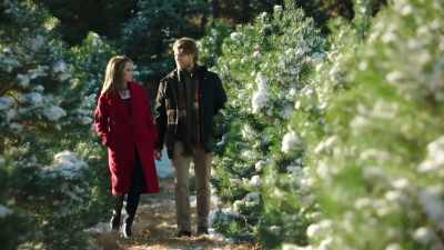 Eu quero construir uma pousada - 'Tis the Season to be Merry