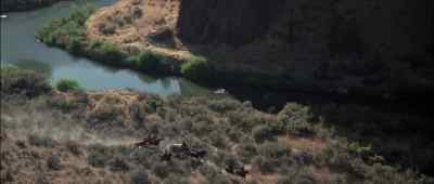 EULA:
Ayah, that's the wagon. - Rooster Cogburn