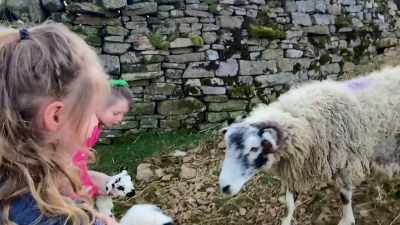 Eurghg - Our Yorkshire Farm