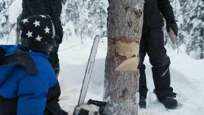 EVAN: A pie cut is like
a, like, cutting a pie. - Life Below Zero: First Alaskans