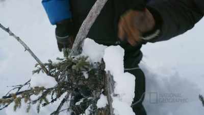 EVAN: Ah, that stinks.
TIG: (laughs) Yeah! - Life Below Zero: First Alaskans