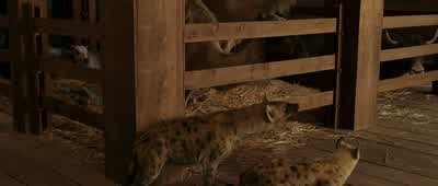 EVAN: Well, I guess they don't want to go. - Evan Almighty