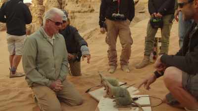 Evangeline and livonne. - The Skywalker Legacy