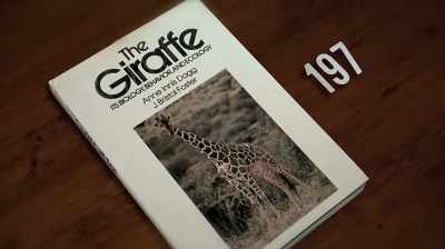 Even as a 15, 16-year-old, - The Woman Who Loves Giraffes