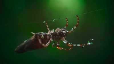 Even a raindrop
can be devastating. - The Secret Lives of Animals
