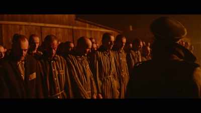 Even an ape can stand on its two feet! - The Auschwitz Report