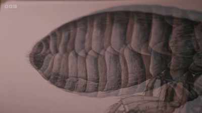 Even at this magnification, - Secrets of Size: Atoms to Supergalaxies
