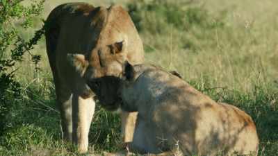 Even after being apart
for so long, - Dynasties
