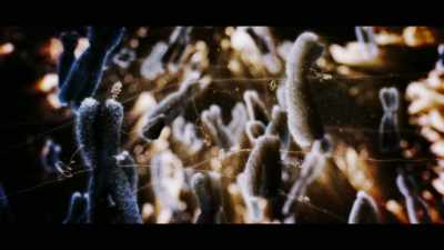 Even crack open
our genetic code. - Origins: The Journey of Humankind