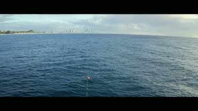 Even fewer people
know the truth. - Envoy: Shark Cull