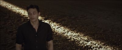 Even if I don't understand you and I'd like to know you better - Wild Horses