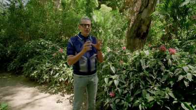 Even if I'm left to my own devices, - The World According to Jeff Goldblum