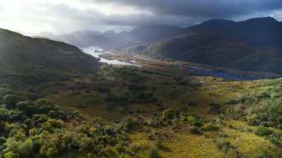 Even in our crowded isles, - Wild Isles