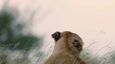 Even in this weather,
adults must still head back and forth - Dynasties