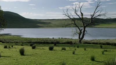 Even if it is his scarf, - Shetland
