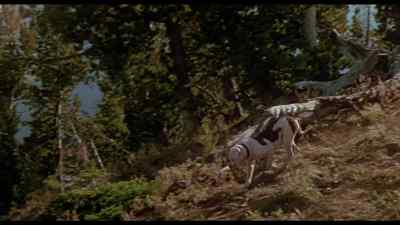 Even now I don't really
know how he did it. - Homeward Bound: The Incredible Journey