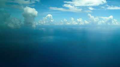 Even one as vast as the ocean. - David Attenborough: A Life on Our Planet