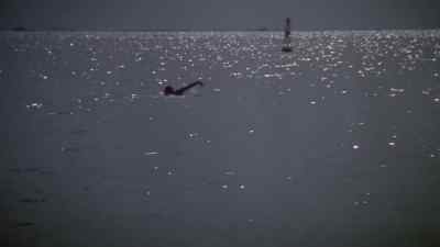 Even pleasurable, - Terror in the Aisles