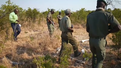 'Even putting their lives
on the line...' - A Year on Planet Earth