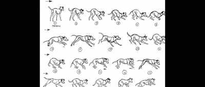 Even seeing something like
that just makes my heart race. - Pencils Vs Pixels