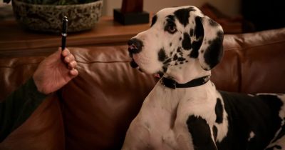 Even you steal office supplies? - Grace and Frankie