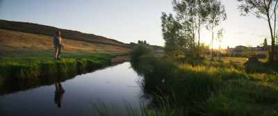 Even the birds - About Dry Grasses