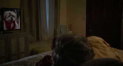 Even the dogs were
getting into the festivities, - Boo! A Madea Halloween