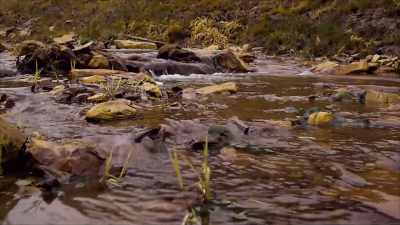 Even the fish came back,
though no-one was stocking the lake. - Secrets of the Underground