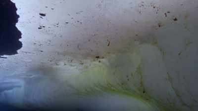 "Even the ice itself is alive..." - Secrets of the Whales