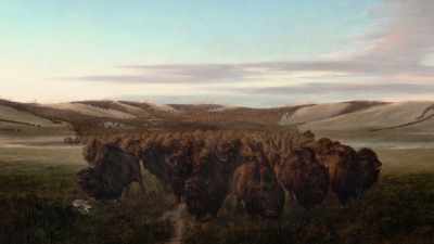 "Even the old people could ride. - The American Buffalo