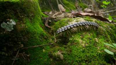Even the smallest - Our Great National Parks