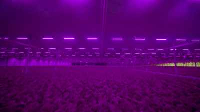 Even the young plants in the nursery, - Europe From Above
