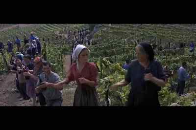 Even when they work,
the rich don't sweat like the poor. - The Secret of Santa Vittoria