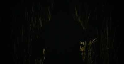 Even though I feel alone, - Nina of the Woods