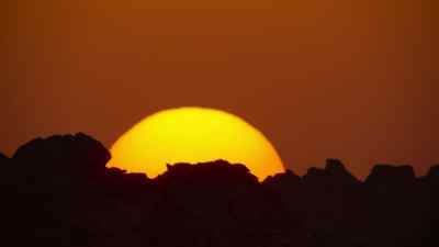 Even though some animals
are well adapted to desert conditions, - Prehistoric Planet