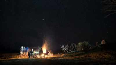 Even though
the crew was out looking for lions, - In the Footsteps of Elephant