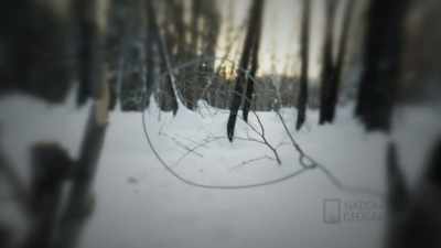 Even though there are some
risks I just feel like - Life Below Zero: First Alaskans