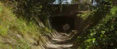 Even though tunnels
can be longer than they appear. - Boys in the Trees