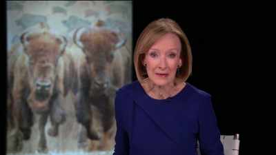 Even with an unclear
understanding of how to do that - The American Buffalo